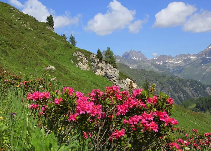 Ad Laca ホテル ゼー